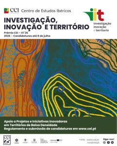 Prémio CEI-IIT-Investigação, Inovação e Território 2026